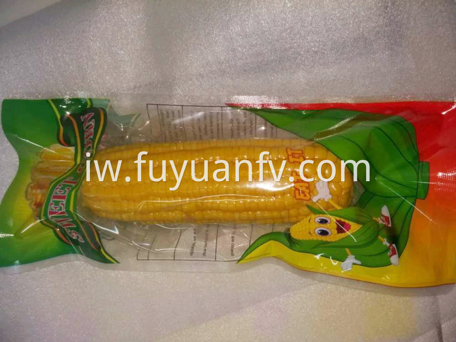 one piece fresh corn